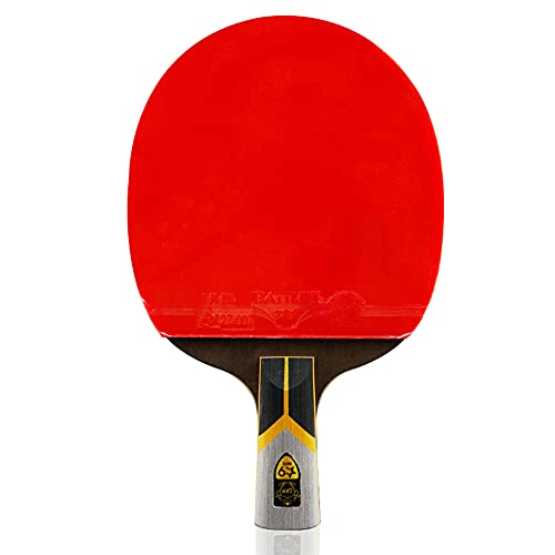 LOANDSDE ping-Pong schläger Tischtennisschläger-Set mit Kohlefaser-Technologie, Premium-Tischtennisschläger for mehr Kontrolle, Spin, 9-Stern-/Einzel-/Kurzgriff(Short Handle) von LOANDSDE