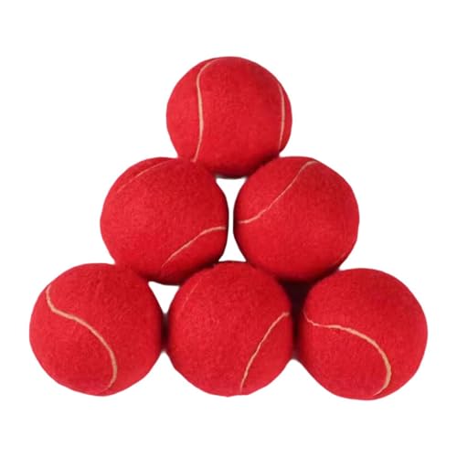 LOVIVER 6 Stück Tennisbälle, verschleißfeste Übungsbälle, Trainingsbälle, elastische Bälle für Indoor-Sportarten und Outdoor-Unterhaltung, ROT von LOVIVER