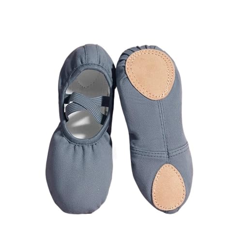 LPLPL Leichte Ballettschuhe, Frauen Ballettschuh Tanz Erwachsene Kinder Hausschuhe Weiche Sohle Professionelle Canvas Tanztrainingsschuhe for Ballett Ballettschuhe Frauen (Blau, 40)(Blue,38 EU) von LPLPL