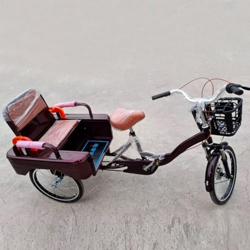 Ältere Pedal-Fahrrad-Rikscha-Roller-Trikes mit Stoßdämpfer-Vordergabel,Passagier-Fracht-Dreirad mit doppeltem Verwendungszweck,klappbarer Beifahrersitz hinten,Hinterkabine,Tandem-Dreirad Erwachsene von LSQXSS