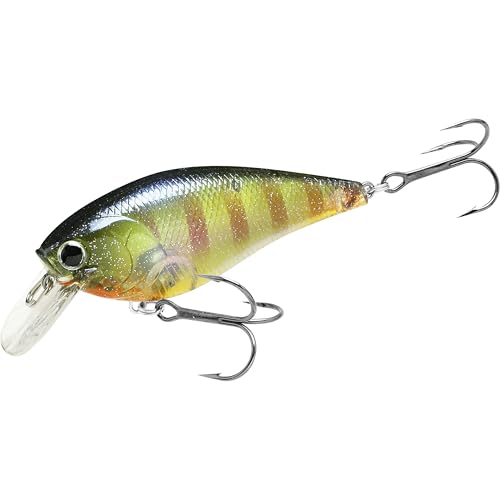 LUCKY CRAFT Fat CB BDS 3 Crankbait Flake Flake BE Gill LUCKY CRAFT Fat CB BDS 3 Crankbait Flake Flake BE Gill von LUCKY CRAFT