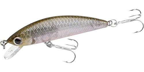Lucky Craft Humpback Minnow 50 SP Wobbler 5cm 3,2g Ghost Minnow Lucky Craft Humpback Minnow 50 SP Wobbler 5cm 3,2g Ghost Minnow von LUCKY CRAFT