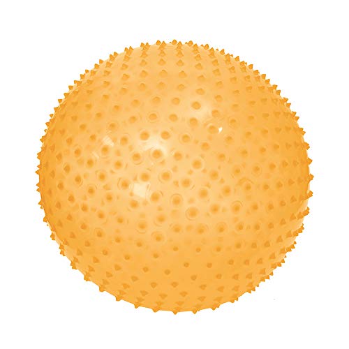 LUDI Motorik Ball Gymnastik und Yoga Ball für Kinder - Massage Struktur mit weichen Nieten - Innen- und Außen-Babygym | Ab 2 Jahren LUDI Motorik Ball Gymnastik und Yoga Ball für Kinder - Massage Struktur mit weichen Nieten - Innen- und Außen-Babygym | Ab 2 Jahren von LUDI