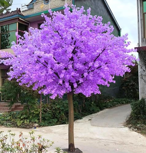 LULUMAIC Künstliche Kirschblütenbäume – wunderschöner und lebensechter künstlicher Kirschblütenbaum, japanische Kirschblüte mit lila künstlicher Blume, künstliche Pflanze I rund (2,5 x 2,5 m) von LULUMAIC