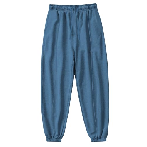 LUNULE Meine Bestellungen Anzeigen 2024, Outdoor Hosen Für Herren Leichte Sommerhose Herren Einfarbig Lang Sporthose Mit Kordelzug Und Taschen Regular Fit Sweathose Arbeitslatzhose Herren (Blau,XXL) von LUNULE