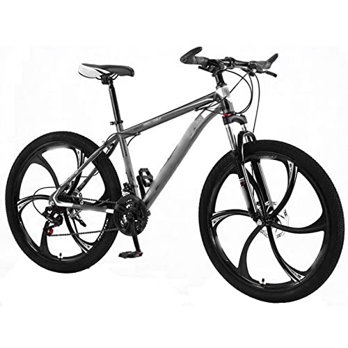 LXHAHQ Fahrrad, Mountainbike, Geschwindigkeitsdämpfung, Gabel, Dickes Schnee-Rennrad, Aluminiumlegierungsräder, Radfahren, Mechanische Doppelscheibenbremse/Grey/Size von LXHAHQ
