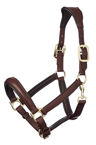 LeMieux Anatomic Leather Headcollar Anatomisches Lederhalfter, braun, Volle Größe LeMieux Anatomic Leather Headcollar Anatomisches Lederhalfter, braun, Volle Größe von LeMieux