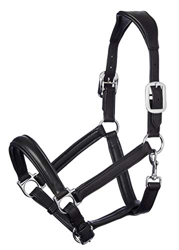 LeMieux Anatomic Leather Headcollar Anatomisches Lederhalfter, Schwarz, Volle Größe LeMieux Anatomic Leather Headcollar Anatomisches Lederhalfter, Schwarz, Volle Größe von LeMieux