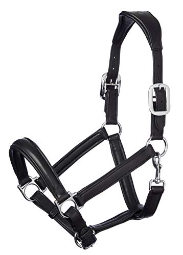 LeMieux Anatomic Leather Headcollar Anatomisches Lederhalfter, Schwarz, Volle Größe von LeMieux