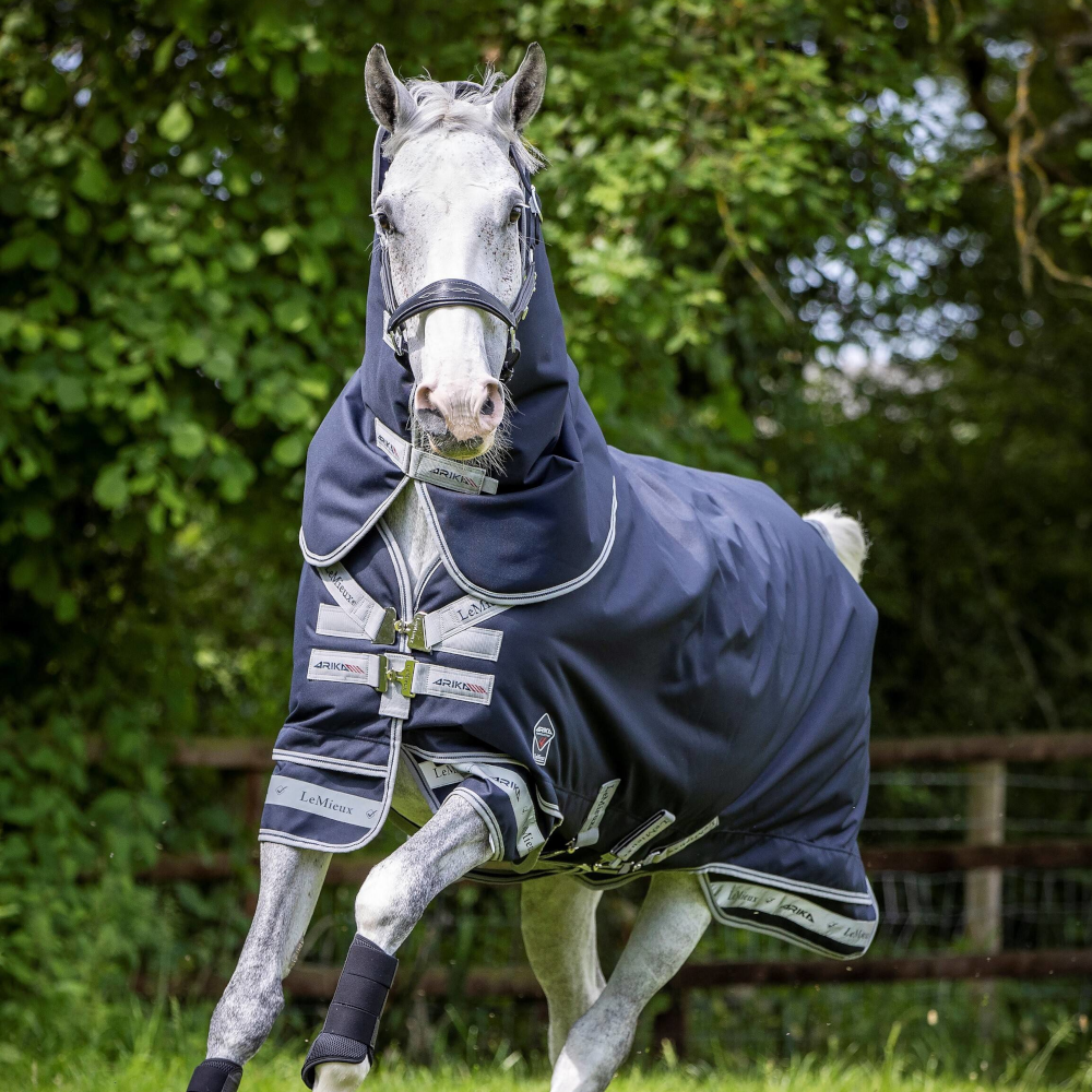 LeMieux Arika StormTek Turnout Rug 200g von LeMieux