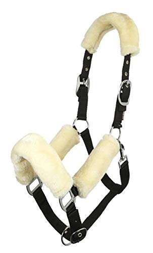 LeMieux Comfort Headcollar Halfter, Natur, Pony LeMieux Comfort Headcollar Halfter, Natur, Pony von LeMieux