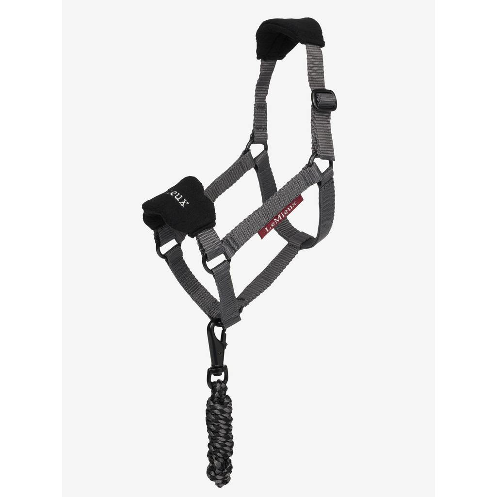 LeMieux Hobby Horse Halfter und Strick LeMieux Hobby Horse Halfter und Strick von LeMieux