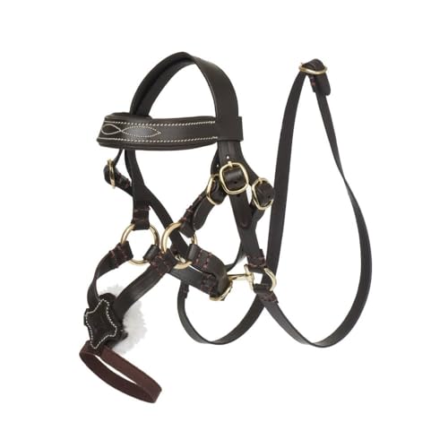 LeMieux Mini Toy Pony Grackle Trensenzaum braun LeMieux Mini Toy Pony Grackle Trensenzaum braun von LeMieux