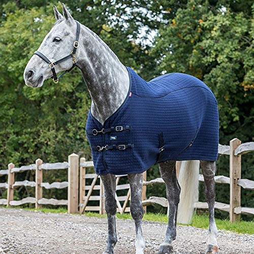LeMieux Thermo Cool Rug Pferdedecke, Benetton-Blau, 1,52 m LeMieux Thermo Cool Rug Pferdedecke, Benetton-Blau, 1,52 m von LeMieux