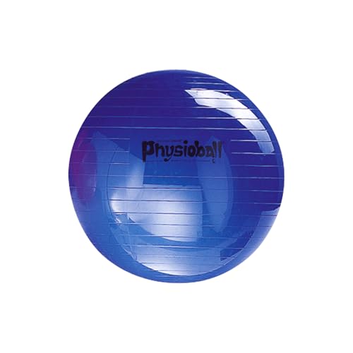 Ledragomma Original Physioball Blau, ø 85 cm, 1.900 g Ledragomma Original Physioball Blau, ø 85 cm, 1.900 g von Ledragomma