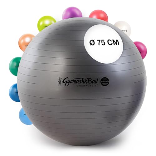 PEZZI - Gymnastikball Pezziball MAXAFE 75cm Ø – Sitzball für Therapie, Sport & Büro - Trainingsball aus Flexton Silpower® latexfrei, widerstandsfähig & elastisch – Anthrazit PEZZI - Gymnastikball Pezziball MAXAFE 75cm Ø – Sitzball für Therapie, Sport & Büro - Trainingsball aus Flexton Silpower® latexfrei, widerstandsfähig & elastisch – Anthrazit von PEZZI