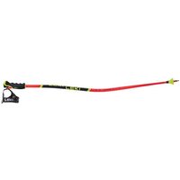 LEKI Herren Alpin-Skistock WCR Lite GS 3D von Leki