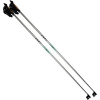 Leki Rental SK Silver/Green Leki Rental SK Silver/Green von Leki