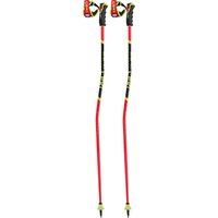 Leki WCR GS Carbon 3D Skistöcke Leki WCR GS Carbon 3D Skistöcke von Leki
