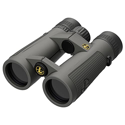 Leupold BX-5 Santiam HD Fernglas, 10 x 42 mm (174483) von Leupold