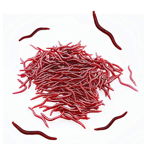 Senven Künstlicher Regenwurm, Biomimetic Soft Silicone Regenwurm Köder Wurm Angelköder Simulation Rote Würmer Kunststoff Grün Umwelt Starke Versuchung Köder Gefälschte Rotwurm - 200Pcs Senven Künstlicher Regenwurm, Biomimetic Soft Silicone Regenwurm Köder Wurm Angelköder Simulation Rote Würmer Kunststoff Grün Umwelt Starke Versuchung Köder Gefälschte Rotwurm - 200Pcs von Liakai