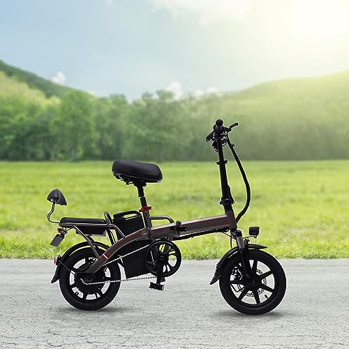 Lilyeriy Klapprad E-Bike 48V/10.2Ah,30 km Reichweite,inkl. Rücksitz&Display Screen, 3 Fahrmodi, verstellbare Sitzhöhe, Elektrofahrrad für Herren & Damen,Die abnehmbare Batteriebox von Lilyeriy