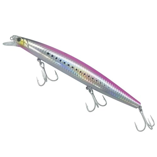 Limtula Wobbler Wobbler Swimbait 16 cm 32 G Karpfen Forelle Zander Angelköder Schwimmende Harte Köder Süßwasser Salzwasser von Limtula