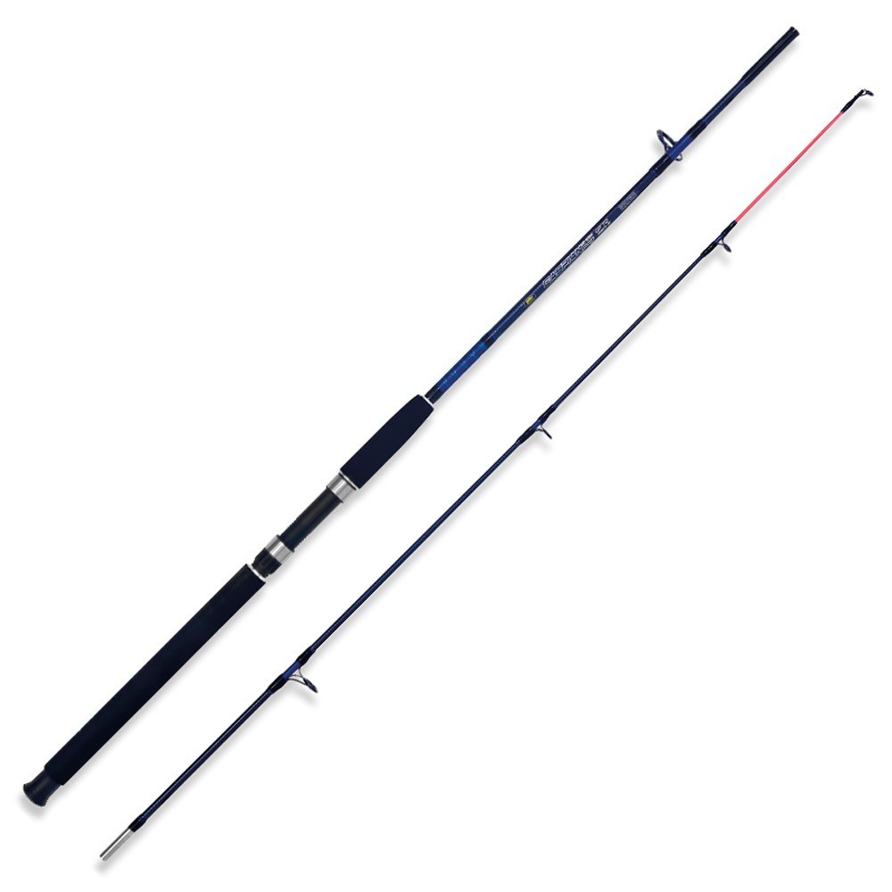 Lineaeffe Caspian Pro Spinning Rod Silber 1.65 m / 250 g Lineaeffe Caspian Pro Spinning Rod Silber 1.65 m / 250 g von Lineaeffe
