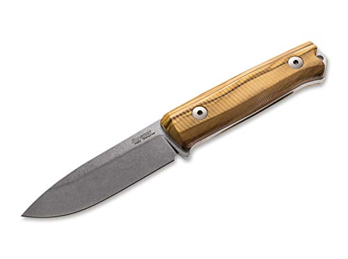 Lionsteel Unisex – Erwachsene B40 Olive Wood Fahrtenmesser, braun, 22,7 cm Lionsteel Unisex – Erwachsene B40 Olive Wood Fahrtenmesser, braun, 22,7 cm von LionSteel