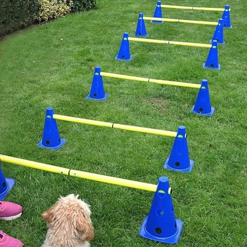 LionSports praktisches Steckhürdenset 2024 für Fußball, Hundesport, Pferdesport – Ideales Trainingszubehör, Fußballtraining, Pferd und Hunde - Profi Pylonen Set mit Hürden - Hindernisse Kegel LionSports praktisches Steckhürdenset 2024 für Fußball, Hundesport, Pferdesport – Ideales Trainingszubehör, Fußballtraining, Pferd und Hunde - Profi Pylonen Set mit Hürden - Hindernisse Kegel von LionSports