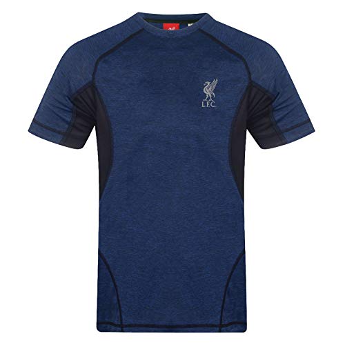 Liverpool FC - Herren Trainingstrikot aus Polyester - Offizielles Merchandise - Geschenk für Fußballfans - Königsblau - XL Liverpool FC - Herren Trainingstrikot aus Polyester - Offizielles Merchandise - Geschenk für Fußballfans - Königsblau - XL von Liverpool FC