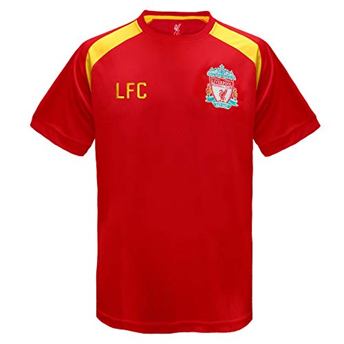 Liverpool FC - Herren Trainingstrikot aus Polyester - Offizielles Merchandise - Geschenk für Fußballfans - Rot - M von Liverpool FC