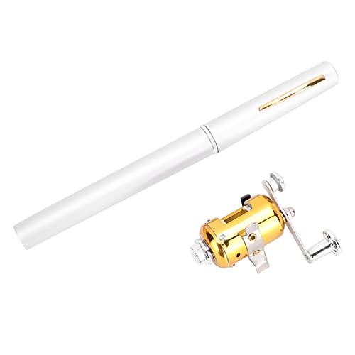 Lwuey Mini Angelrute Rollen Combo, Taschenangelrute Stiftform Angelset Tragbare Teleskop Leichtgewicht Frischwasser Fluss See Stausee Salzwasser Surf Küstengewässer Reise Geschenke für Männer(Silber) Lwuey Mini Angelrute Rollen Combo, Taschenangelrute Stiftform Angelset Tragbare Teleskop Leichtgewicht Frischwasser Fluss See Stausee Salzwasser Surf Küstengewässer Reise Geschenke für Männer(Silber) von Lwuey