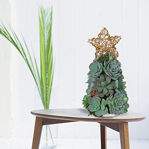 Simulation eines saftigen Weihnachtsbaums, kreativer DIY-Christbaumschmuck für den Tisch, künstlicher saftiger Weihnachtsbaum als Dekoration für den Schreibtisch zu Hause (B-ohne Licht) Atmosphere von MAKAFDGAS