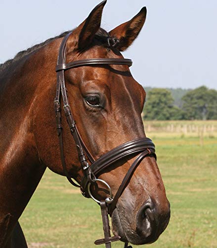 Hans Melzer Horse Equipment Trense Bad Harzburg, braun/silber, Pony Hans Melzer Horse Equipment Trense Bad Harzburg, braun/silber, Pony von MELZER
