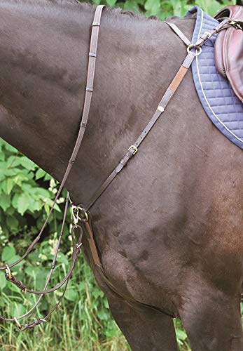 Hans Melzer Horse Equipment Vorderzeug Bad Harzburg, braun/messing, Vollblut/Warmblut Hans Melzer Horse Equipment Vorderzeug Bad Harzburg, braun/messing, Vollblut/Warmblut von MELZER