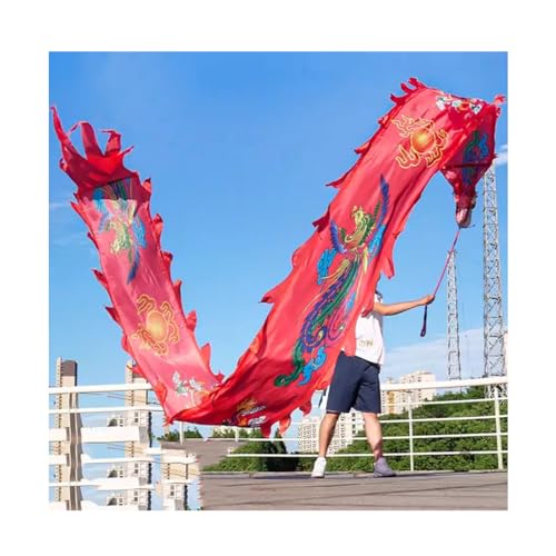 MENTAM Chinas schüttelndes Spiralgeband, Tanzband, Tanz-Drachenband-Streamer mit Wu Long 3D-Drachenkopf und Schaukelseil, Outdoor-Flinging-Fitness-Set(Size:6m/20ft) von MENTAM