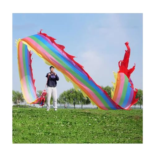 MENTAM Chinas schüttelndes Spiralgeband, Tanzband, Tanzdrachenband-Streamer Outdoor-Fitness mit Wu Long 3D-Drachenkopf und Schaukelseil, mit Reisetasche(Size:6m/20ft) von MENTAM