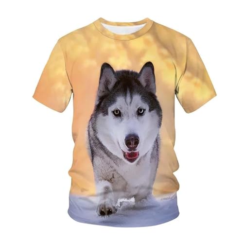 MERVOS Niedlicher Hund Grafik T-Shirt Jungen Mädchen lässigen Rundhalsausschnitt Kurze Ärmel Kleid Dekoration von MERVOS