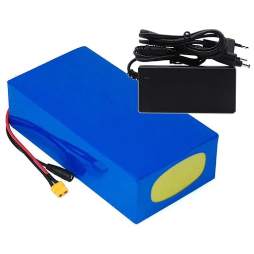 MGHRUE 24V 36V 48V 10AH 12AH 15AH 20AH Ebike Batterie Mountainbike Lithium Li-Ion Akku Für 50W 250W 500W 750W 1000W Elektrische Fahrräder Motor,24v 10ah,T von MGHRUE