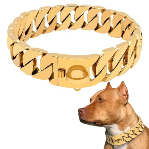 MIDUOLAI LuxuriöSes Hundehalsband Aus Goldkette, Hochbelastbare Kubanische WüRgekette, 32 Mm Breit, Hundehalsband, Starke Stahlmetallglieder, FüR GroßE Rassen,Gold,14inch(35cm) von MIDUOLAI