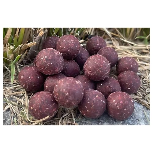 MK-Angelsport Creamy Scopex Garlic Robin Red Boilies 16mm 5kg Power Instant Boilie - Karpfenköder Futterboilies Angelköder Power Instant Boilie MK-Angelsport Creamy Scopex Garlic Robin Red Boilies 16mm 5kg Power Instant Boilie - Karpfenköder Futterboilies Angelköder Power Instant Boilie von MK-Angelsport