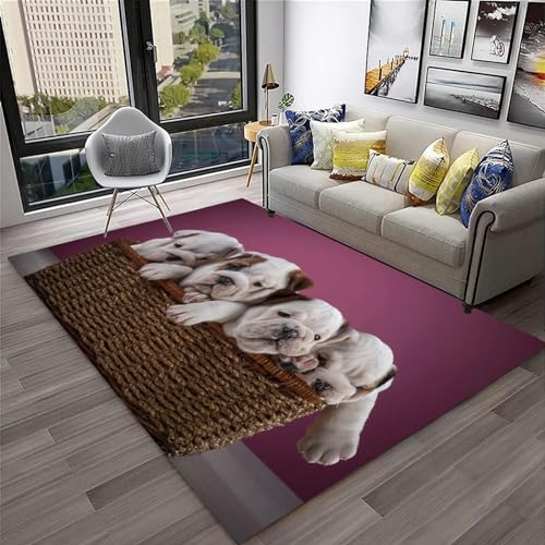 MMRTDJDR Teppich mit Tiermotiv, französische Bulldogge, 3D-Bedruckte Teppich-Bodenmatte für Wohnzimmer und Schlafzimmer, Heimdekoration, 50 x 80 cm/19,6 x 31,5 Zoll – weiches Polyester, leicht zu von MMRTDJDR