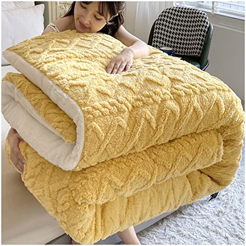 MMRTDJDR Winterdecke, 3-lagige Luxus-Flanell-Fleece-Dicke Bettdecke, super warme, verdickte Steppdecke, weiche Plüsch-Samtdecke, doppelseitige Steppdecke, schwer warm für den Winter, D, 180 x 220 von MMRTDJDR