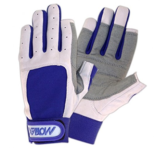 MOTIVEX Segelhandschuhe Rückseite Elasthan 2 Finger geschnitten Grösse L MOTIVEX Segelhandschuhe Rückseite Elasthan 2 Finger geschnitten Grösse L von MOTIVEX