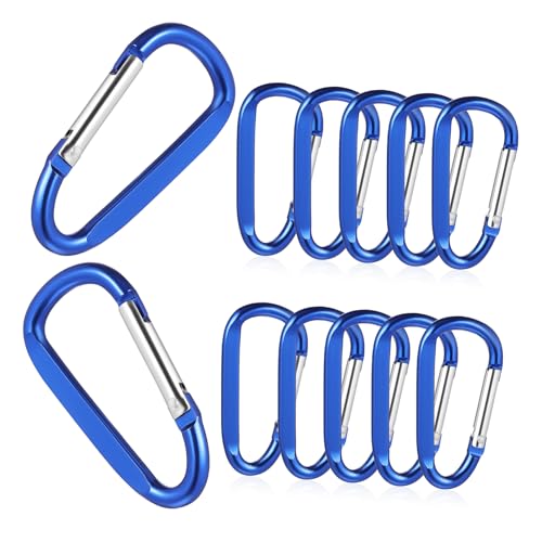 MUSISALY 12 Stück Karabiner Schlüsselanhänger Karabiner Für Schlüssel Schlüsselanhänger Clip D Ringe Verschlusskarabiner Outdoor Karabiner Federschnapp Clips Karabiner Clips von MUSISALY