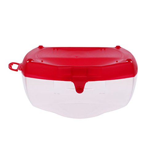 MagiDeal Schnorchelmaske Tauchmaske Taucherbrille Container Box Hartschalenetui Brillenetui, praktisch Outdoor Sport Aufbewahrungsbox, Rot MagiDeal Schnorchelmaske Tauchmaske Taucherbrille Container Box Hartschalenetui Brillenetui, praktisch Outdoor Sport Aufbewahrungsbox, Rot von MagiDeal