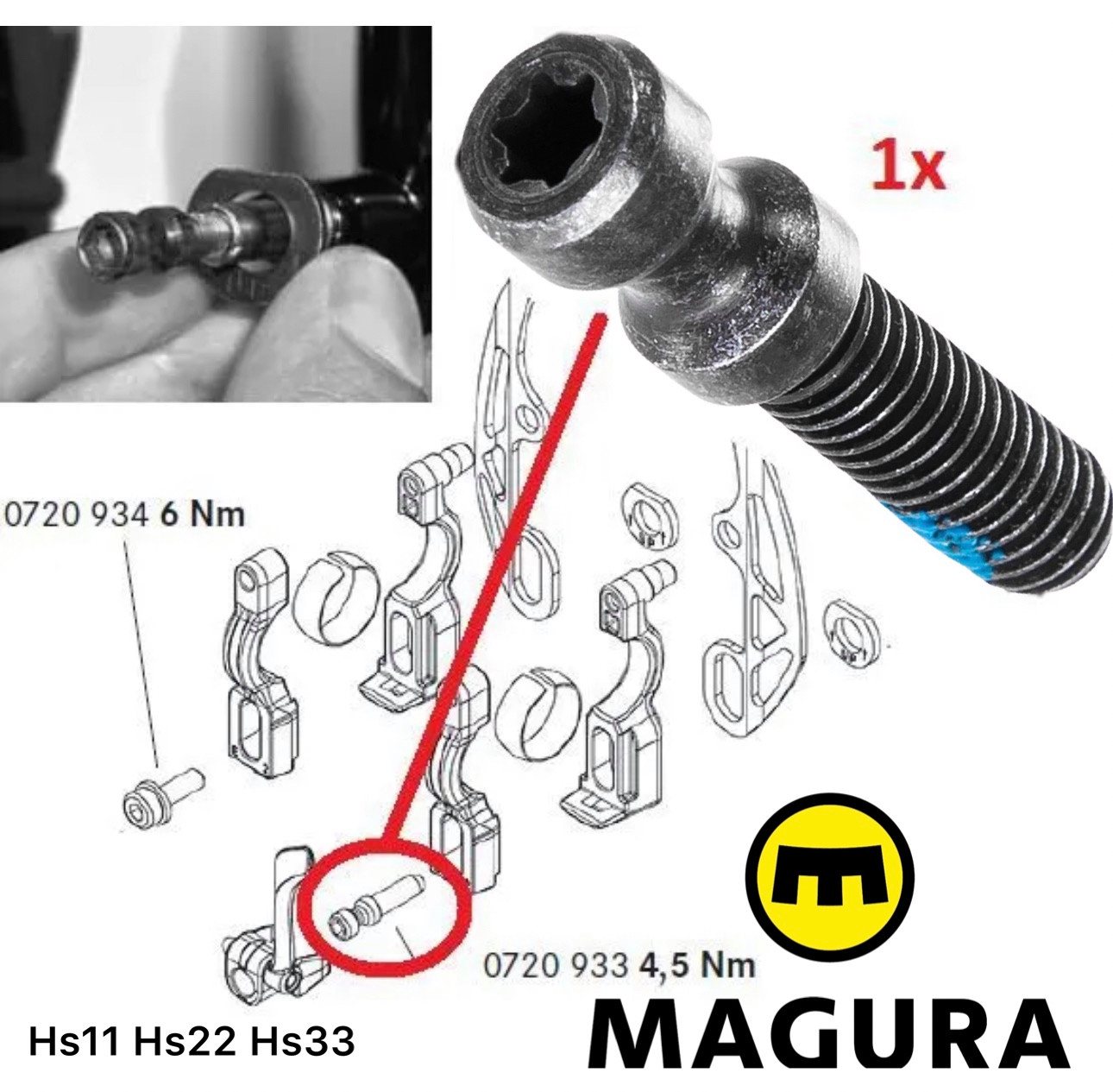 Magura Felgenbremse 1x Magura M6 Schnellspanner-Schraube HS11 Hs22 Hs33 für Evo2 Magura Felgenbremse 1x Magura M6 Schnellspanner-Schraube HS11 Hs22 Hs33 für Evo2 von Magura