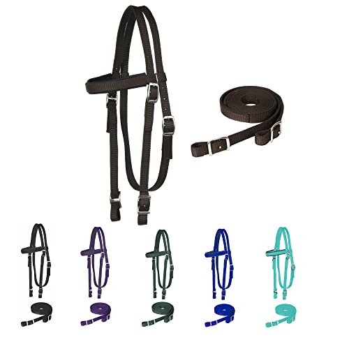 Majestic Ally Halfter für Pferde, Nylon, gepolstert, mit Zügel, Schokoladenbraun Majestic Ally Halfter für Pferde, Nylon, gepolstert, mit Zügel, Schokoladenbraun von Majestic Ally