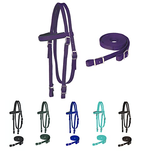 Majestic Ally Stirnband mit Zügel, Nylon, gepolstert, für Pferde, Violett Majestic Ally Stirnband mit Zügel, Nylon, gepolstert, für Pferde, Violett von Majestic Ally